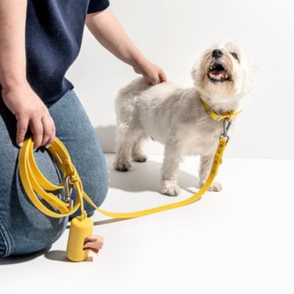 NWT Wild One Dog Collar - Picture 4 of 8